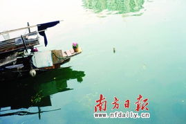 重金属之患不能承受之重——江之念