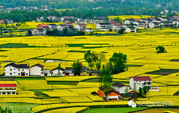江之念·花海情——2016中国最美油菜花海汉中旅游文化节盛大开幕侧记