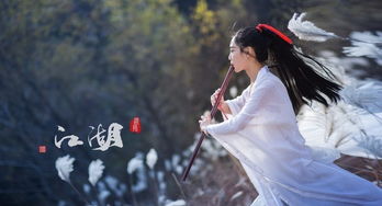 江湖之 从师